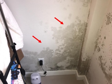 Avaliação de infiltrações em imóvel residencial localizado no Roçado – São José SC