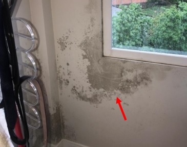 Avaliação de infiltrações em imóvel residencial localizado no Roçado – São José SC