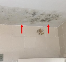 Inspeção técnica de sistema de impermeabilização com manta asfáltica em cobertura de edifício em Capoeiras - Florianópolis. Desenvolvido por engenheiro civil Felipe Dircksen na Grande Florianópolis.