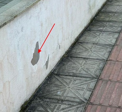 Laudo técnico de infiltrações em fachada de edifício no bairro Canasvieiras, em Florianópolis, com análise das causas e dos danos causados pela umidade.