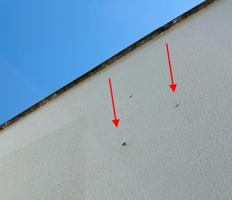 Laudo de infiltrações em apartamento no bairro Campeche, em Florianópolis, para identificação das causas e proposição de soluções técnicas.